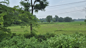 Property for sale in Matelli, Jalpaiguri