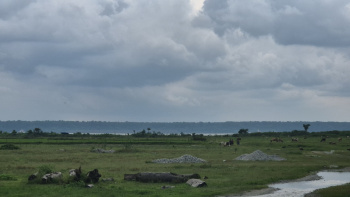 Property for sale in Banarhat Tea Garden, Jalpaiguri