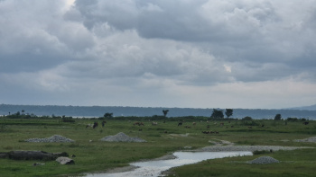 Property for sale in Banarhat Tea Garden, Jalpaiguri
