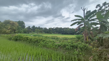 Residential Plot for Sale in Murti, Jalpaiguri (3 Katha)