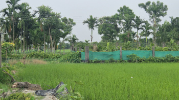 Property for sale in Murti, Jalpaiguri