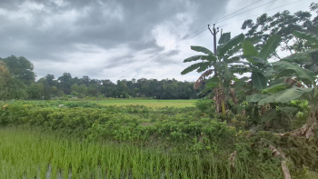 Property for sale in Murti, Jalpaiguri