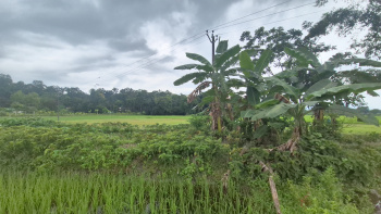 Property for sale in Murti, Jalpaiguri