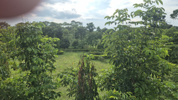 Property for sale in Madhyapara, Alipurduar