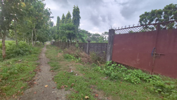 Property for sale in Dooars, Alipurduar