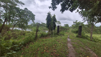 Property for sale in Dooars, Alipurduar