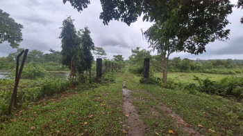 Property for sale in Dooars, Alipurduar