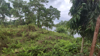 Property for sale in Dooars, Alipurduar