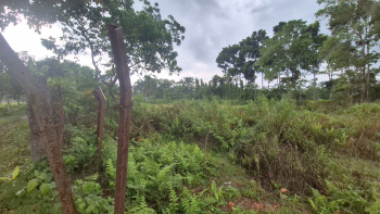 Property for sale in Dooars, Alipurduar