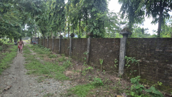Property for sale in Dooars, Alipurduar