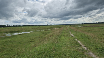 Property for sale in Denguajhar, Jalpaiguri