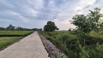 Property for sale in Oodlabari, Jalpaiguri