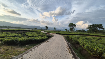 Property for sale in Oodlabari, Jalpaiguri