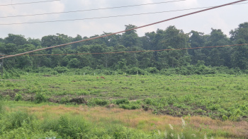 22 Bigha Residential Plot for Sale in Jaygaon, Alipurduar