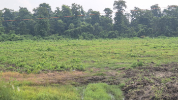 Property for sale in Jaygaon, Alipurduar