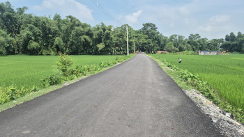 Industrial Land / Plot for Sale in Dhupguri, Jalpaiguri (170 Bigha)