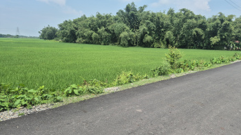 Property for sale in Dhupguri, Jalpaiguri
