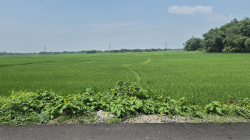 Property for sale in Dhupguri, Jalpaiguri