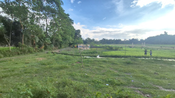 Residential Plot for Sale in Malbazar, Jalpaiguri (17 Bigha)