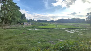 Property for sale in Malbazar, Jalpaiguri