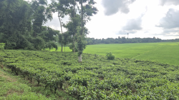 Property for sale in Barapatina Nutanbus, Jalpaiguri