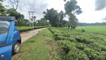 Property for sale in Barapatina Nutanbus, Jalpaiguri