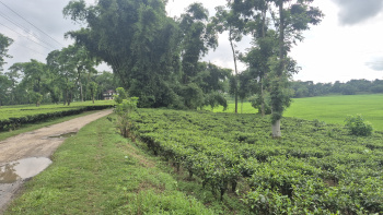 Property for sale in Barapatina Nutanbus, Jalpaiguri