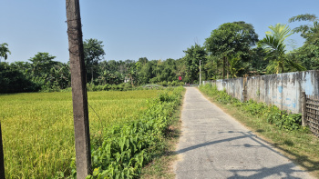 Property for sale in Banarhat Tea Garden, Jalpaiguri