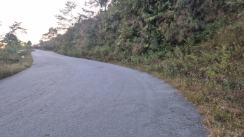 Residential Plot for Sale in Lava, Kalimpong (4.5 Bigha)