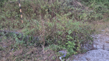 Property for sale in Lava, Kalimpong