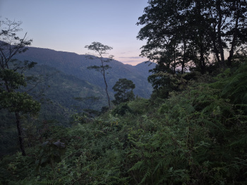 Property for sale in Lava, Kalimpong