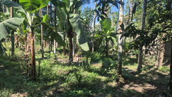 Property for sale in Malbazar, Jalpaiguri