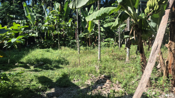 Property for sale in Malbazar, Jalpaiguri