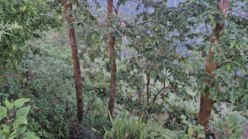 Property for sale in 8th Mile, Kalimpong