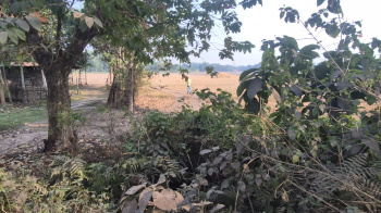 Property for sale in Nutan Para, Jalpaiguri