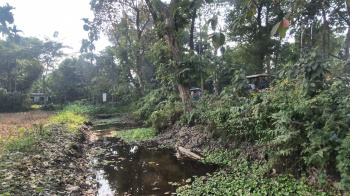 Property for sale in Nutan Para, Jalpaiguri