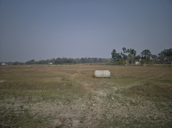 Property for sale in Madhya Madarihat, Jalpaiguri