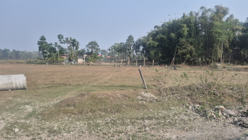 Property for sale in Madhya Madarihat, Jalpaiguri