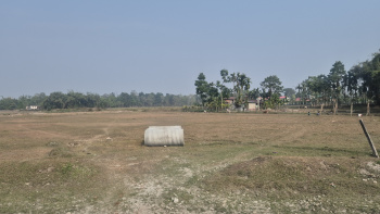 Property for sale in Madhya Madarihat, Jalpaiguri