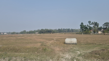 Property for sale in Madhya Madarihat, Jalpaiguri