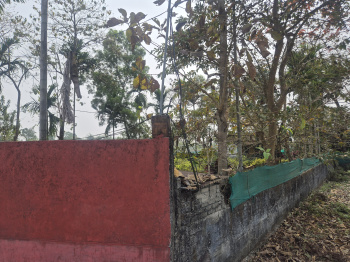 1 Bigha Banquet Hall & Guest House for Sale in Madhya Madarihat, Jalpaiguri