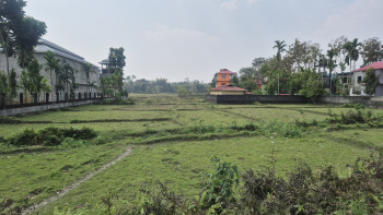 Agricultural/Farm Land for Sale in Murti, Jalpaiguri (50 Dismil)