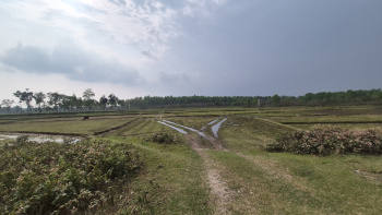 Property for sale in Belacoba, Jalpaiguri