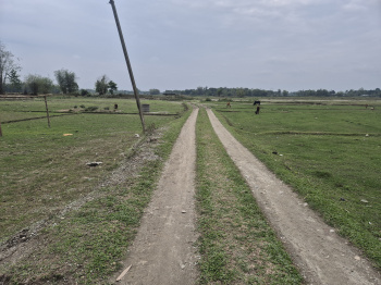 Residential Plot for Sale in Batabari, Jalpaiguri (6 Bigha)