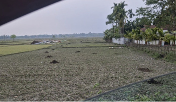 Residential Plot for Sale in Murti, Jalpaiguri (3 Bigha)