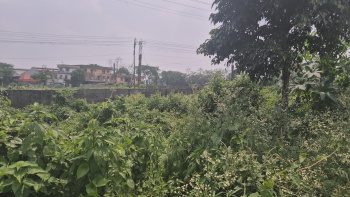 Residential Plot for Sale in Fatapukur, Jalpaiguri (100 Bigha)