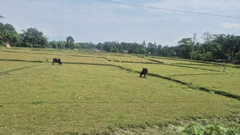 Property for sale in Batabari, Jalpaiguri