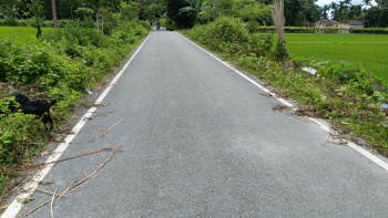 Residential Plot for Sale in Dhupguri, Jalpaiguri (7 Bigha)