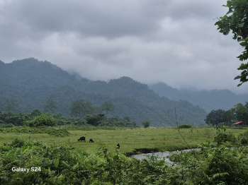 Residential Plot for Sale in Oodlabari, Jalpaiguri (16 Bigha)