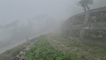 Residential Plot for Sale in Lava, Kalimpong (6 Bigha)